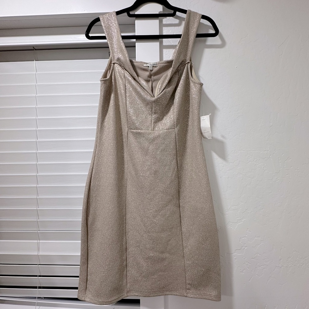 Soft Gold Glam Mini Dress